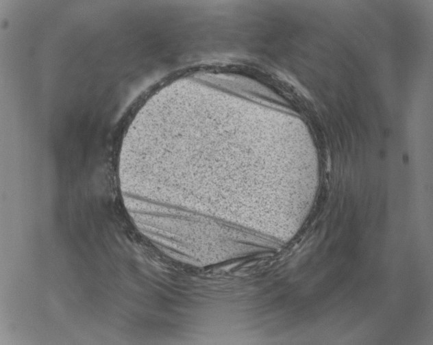 X0000068281256200605191844