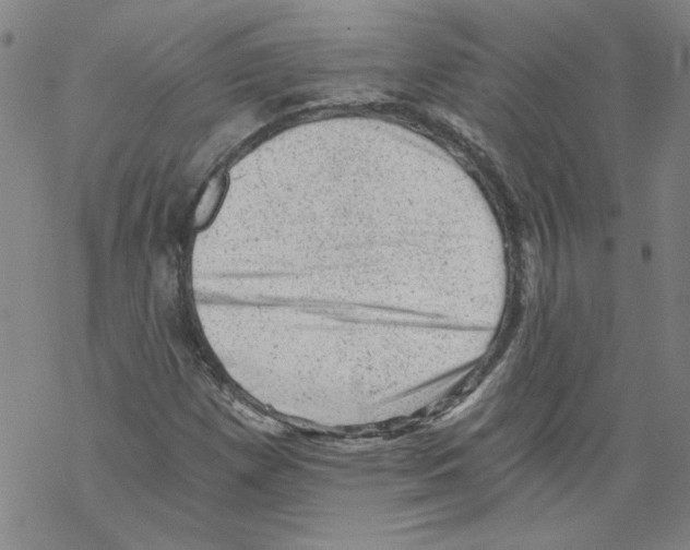 X0000068281257200605191844