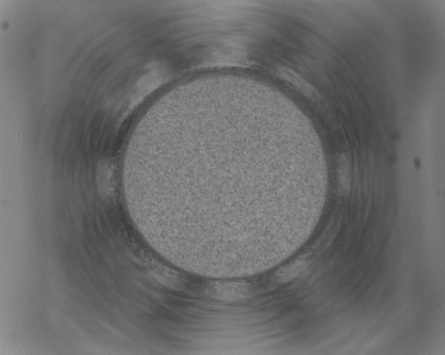 X0000068281258200605191844