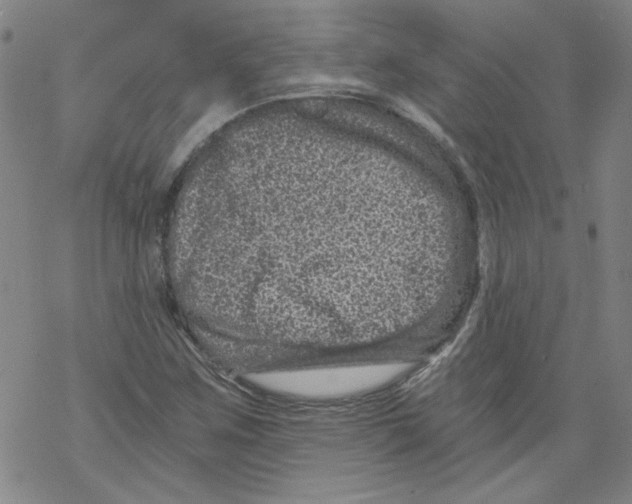 X0000068281259200605191844