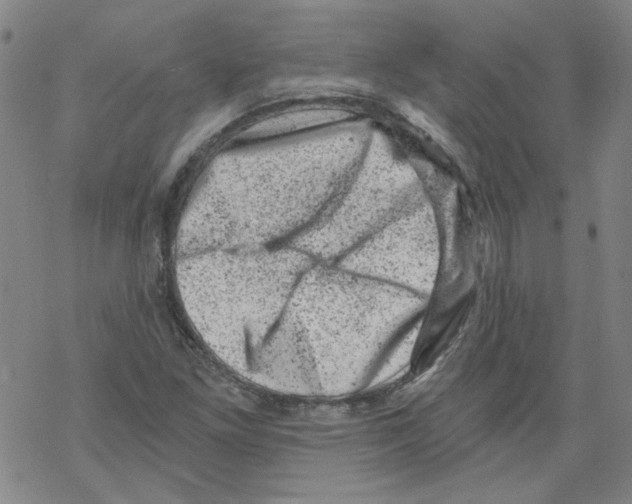 X0000068281261200605191844