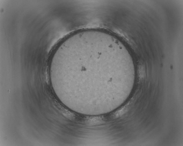 X0000068281262200605191844