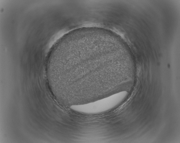 X0000068281263200605191844