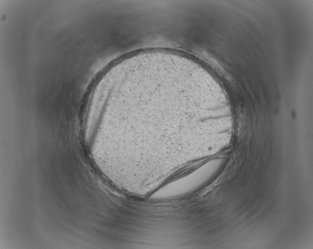 X0000068281264200605191844