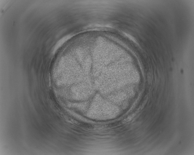 X0000068281267200605191844