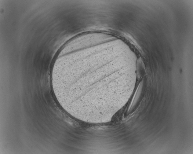 X0000068281268200605191844