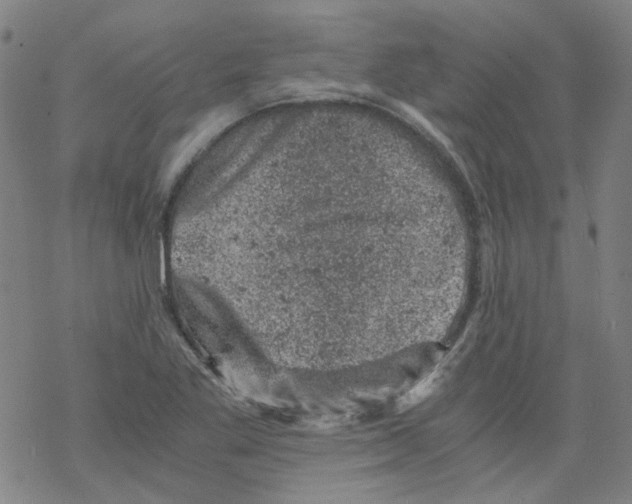 X0000068281269200605191844