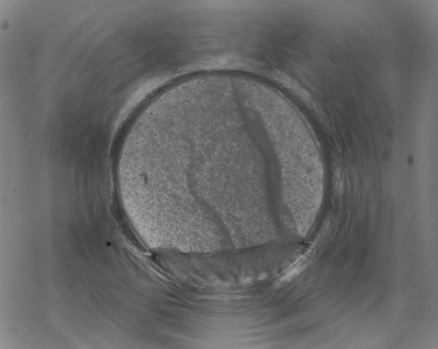 X0000068281270200605191844