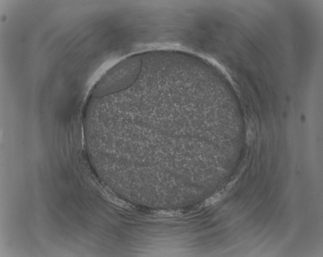 X0000068281271200605191844