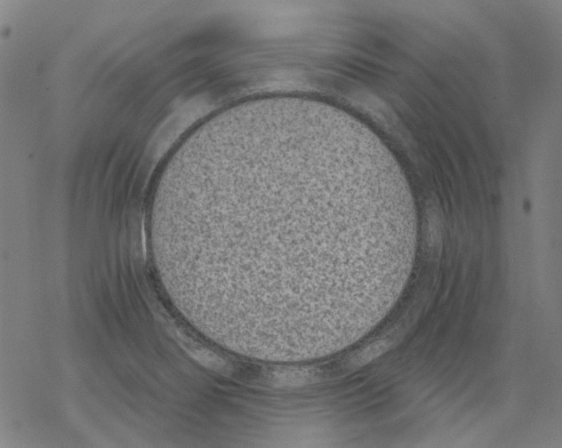 X0000068281274200605191844