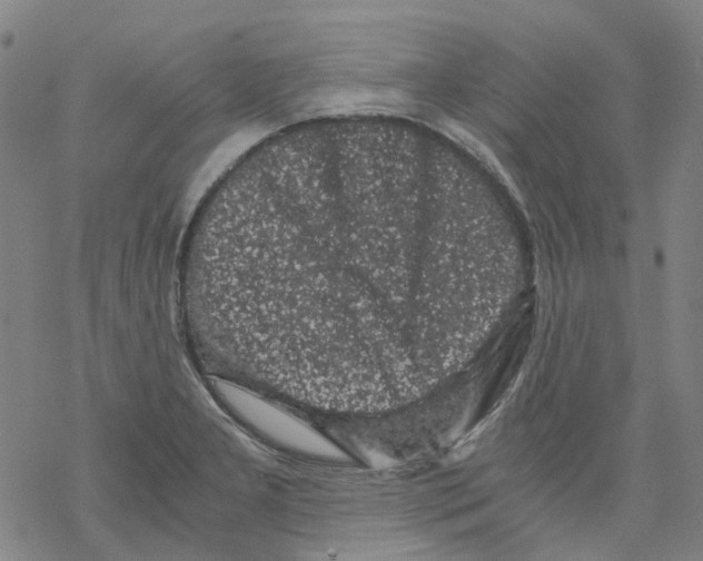 X0000068281277200605191844