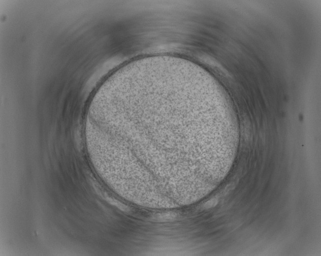 X0000068281278200605191844