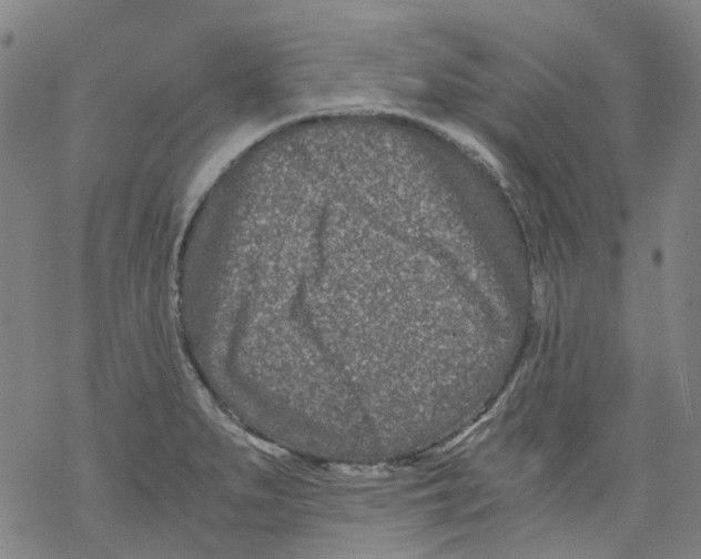 X0000068281279200605191844