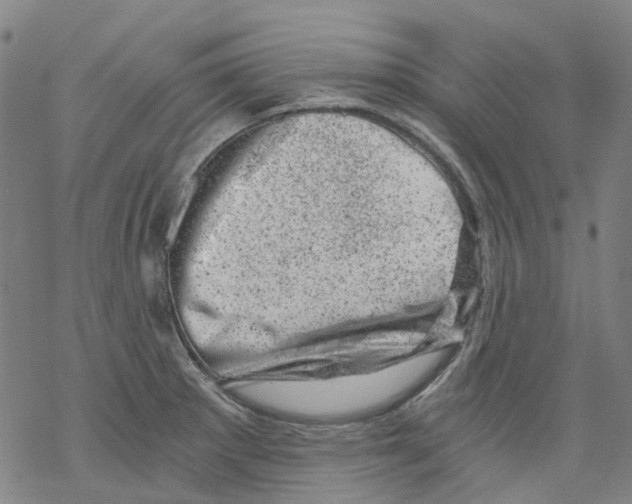 X0000068281281200605191844