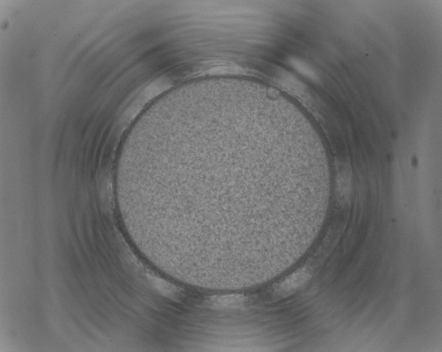 X0000068281282200605191844