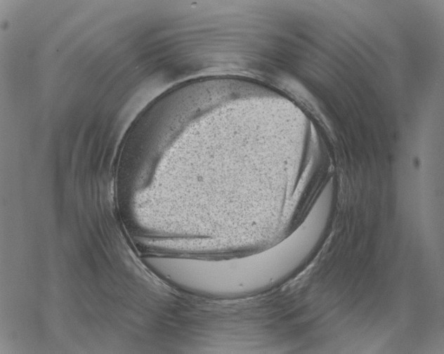 X0000068281284200605191844