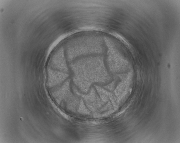 X0000068281286200605191844