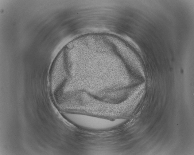 X0000068281287200605191844