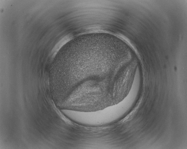 X0000068281289200605191844