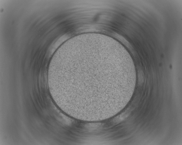 X0000068281290200605191844