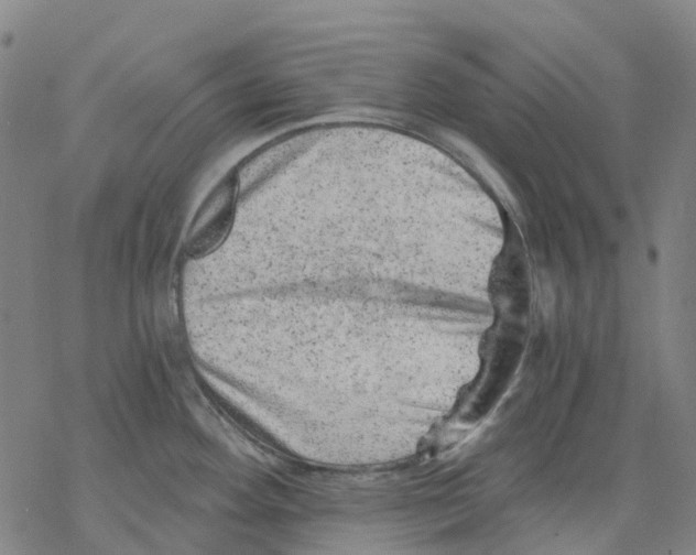 X0000068281292200605191844