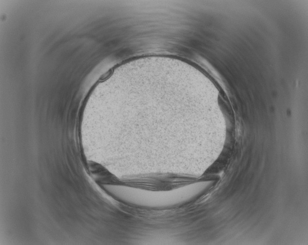 X0000068281293200605191844