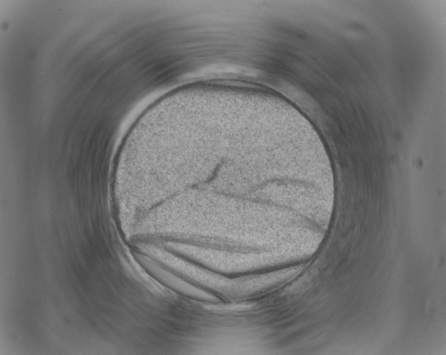 X0000068281296200605191844