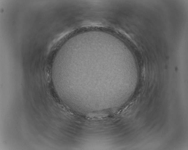 X0000068281303200605191843