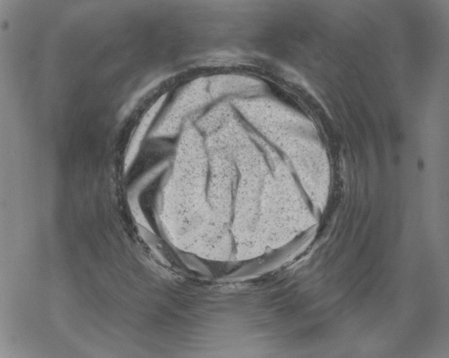 X0000068281304200605191843