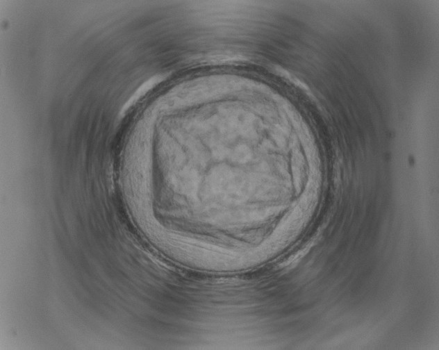 X0000068281306200605191843