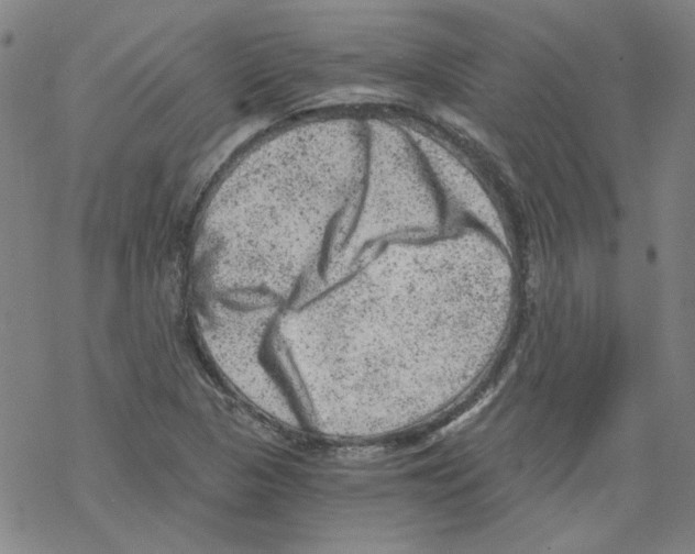 X0000068281313200605191843