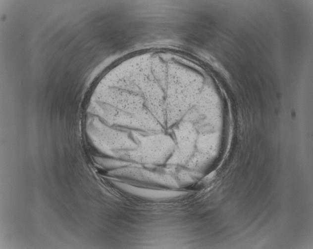 X0000068281316200605191843