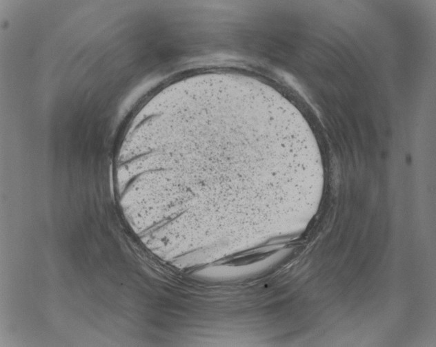 X0000068281320200605191843