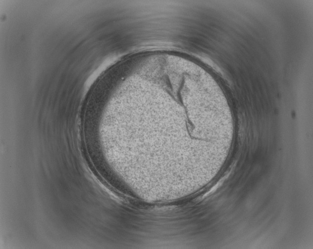 X0000068281325200605191843