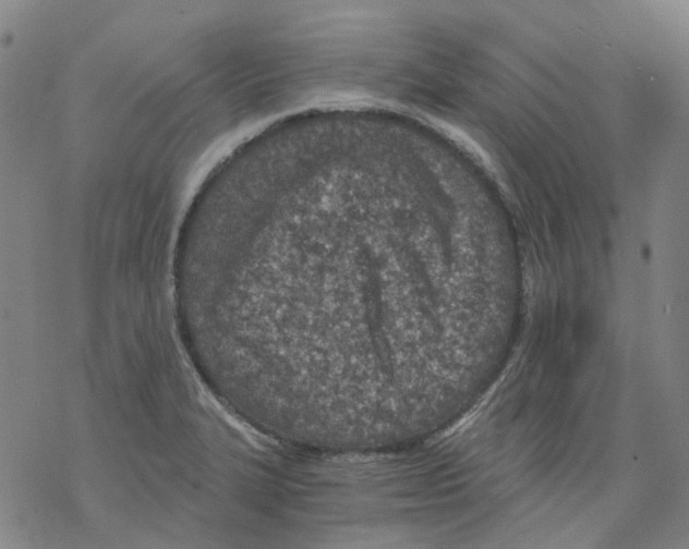 X0000068281327200605191844