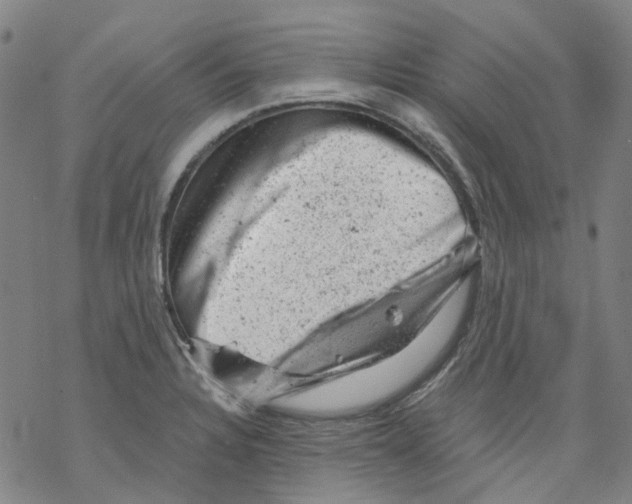 X0000068281328200605191844