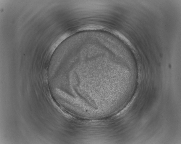 X0000068281329200605191844