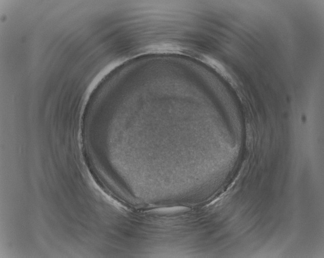 X0000068281331200605191844