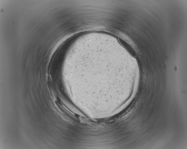 X0000068281332200605191844