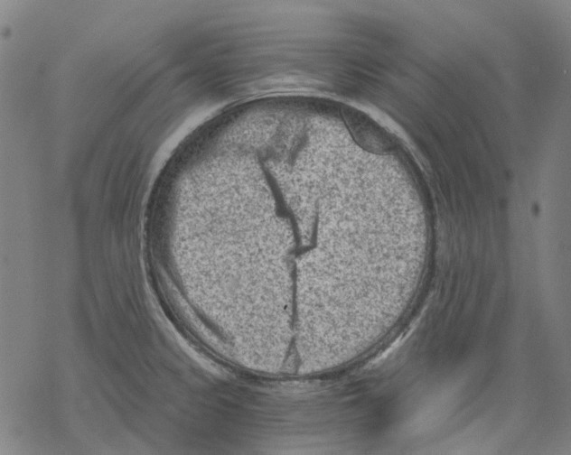 X0000068281333200605191844