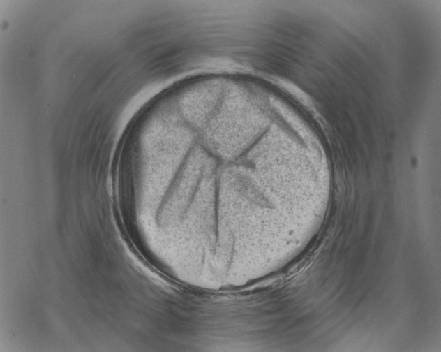 X0000068281335200605191844