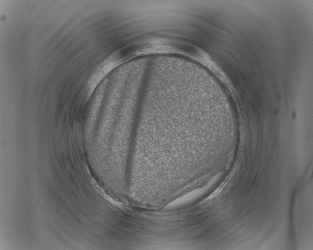 X0000068281337200605191844