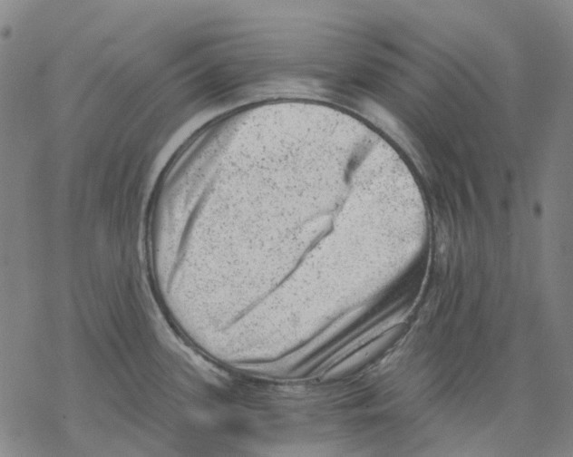 X0000068281339200605191844