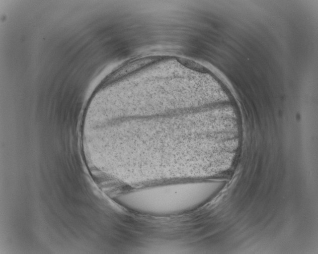 X0000068281341200605191844