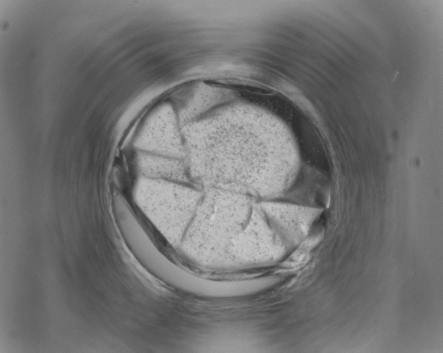 X0000068281344200605191844