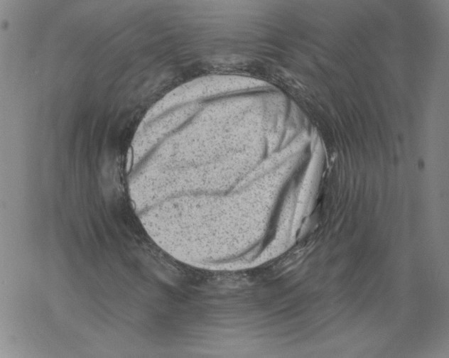 X0000068281346200605191843