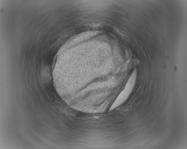 X0000068281347200605191843