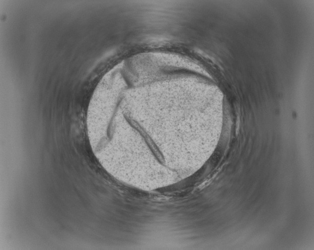 X0000068281349200605191843