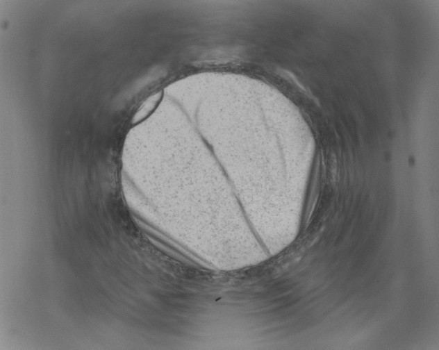 X0000068281350200605191843