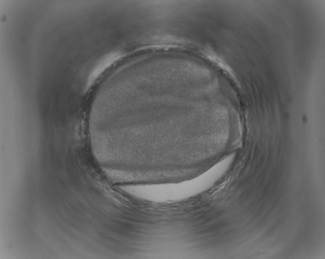 X0000068281352200605191843